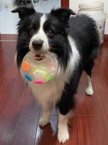 COLORIVER® TPR Hundesoccerball 🎉 – Robustes Kauen, Hüpfen & Spielen – (Letzter Tag! Angebot endet heute Nacht.)