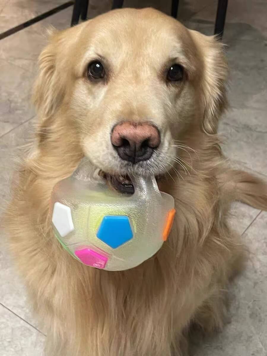 COLORIVER® TPR Hundesoccerball 🎉 – Robustes Kauen, Hüpfen & Spielen – (Letzter Tag! Angebot endet heute Nacht.)